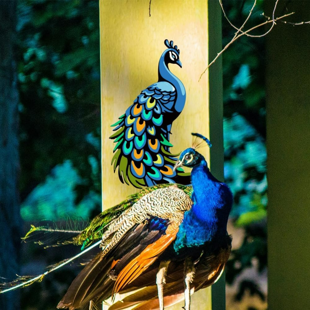 3Pcs Layered Peacock Stencils  - Paint Brush ulasan dan harga